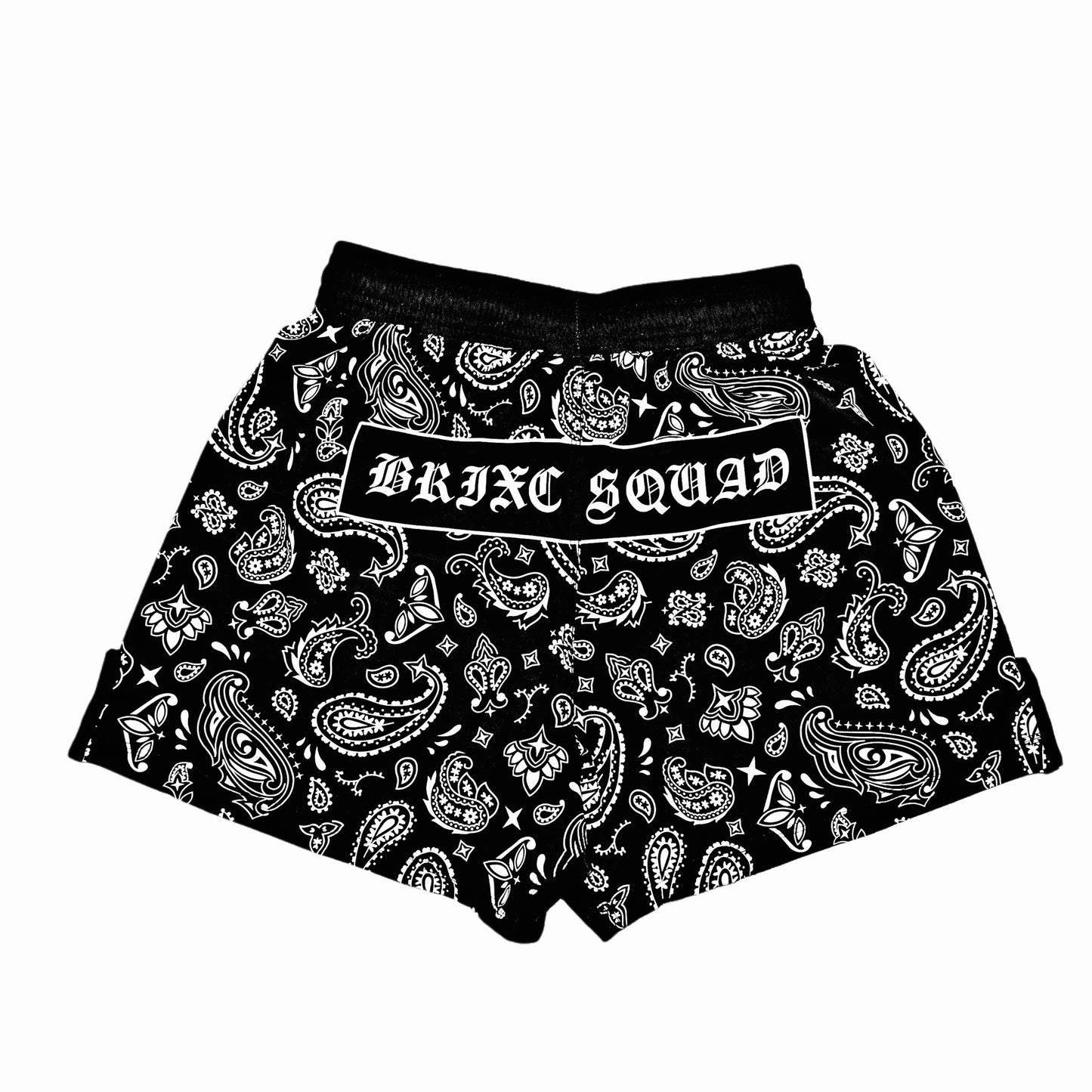 PAISLEY BRIXC SQUAD SHORTS