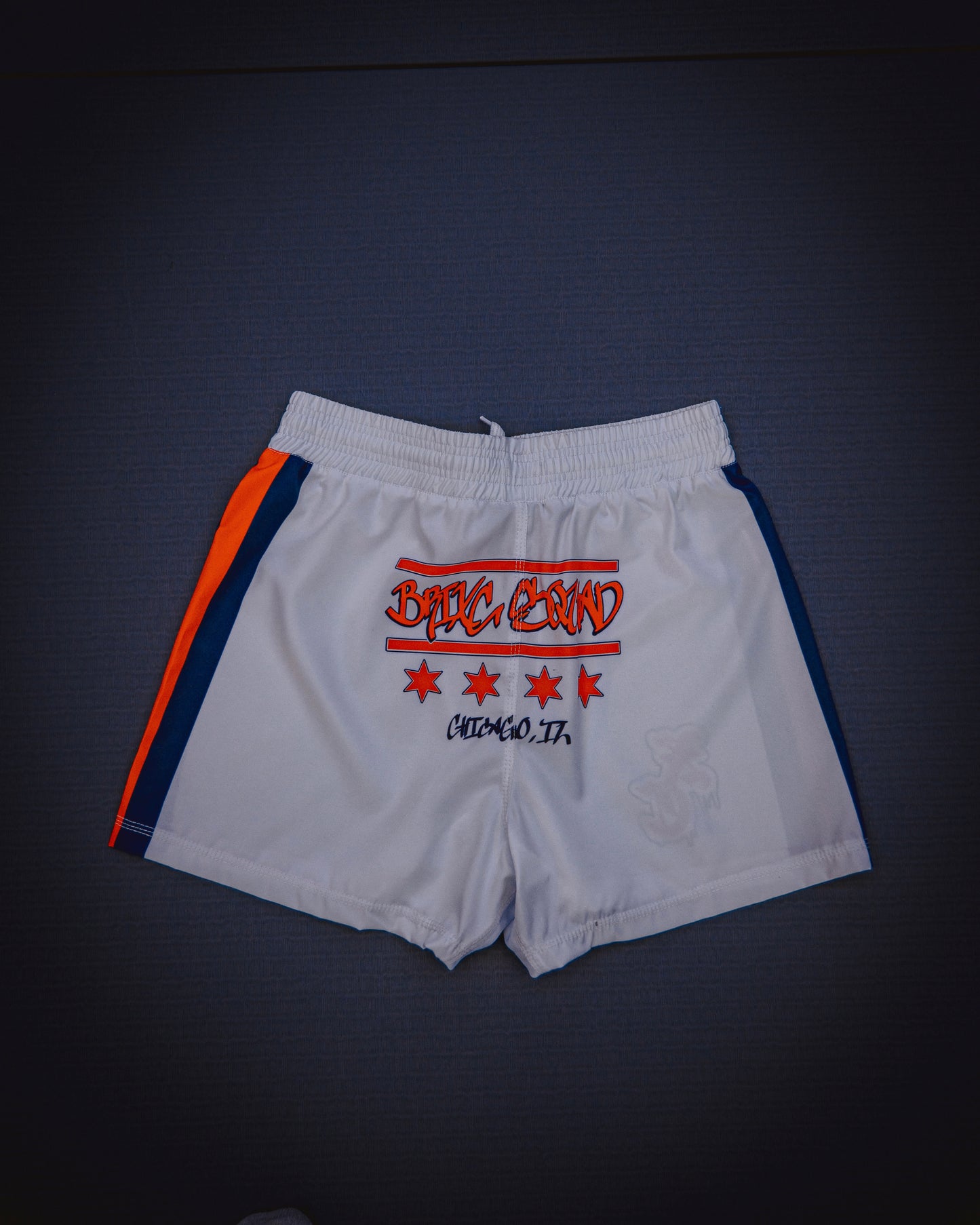 “BEARS ISO” COLLAB // FIGHT SHORTS
