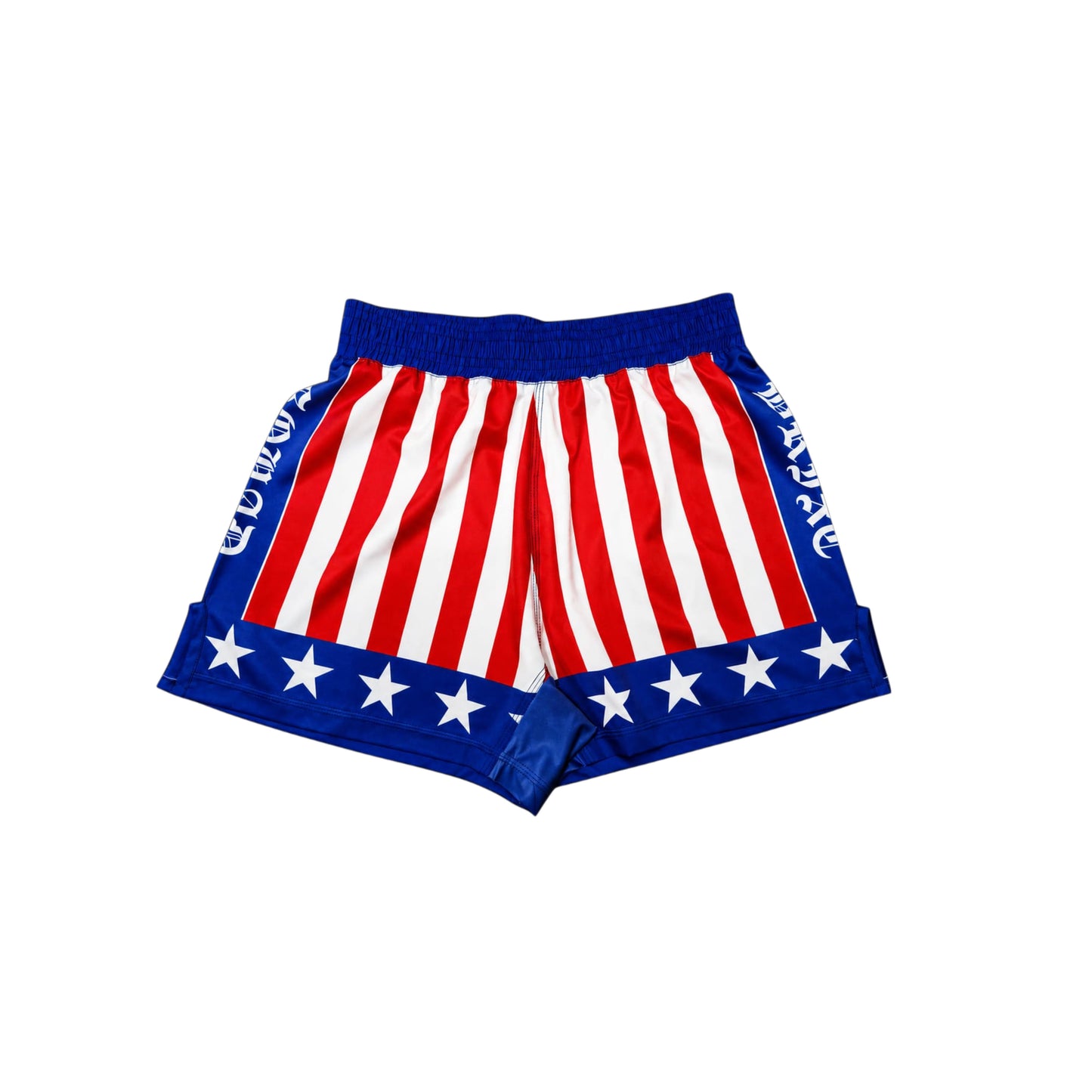USA FIGHT SHORTS