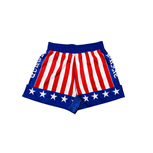 USA FIGHT SHORTS